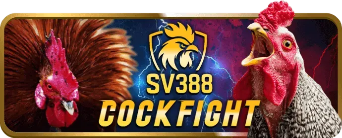 Cấp độ VIP Kim Cương i9bet41
